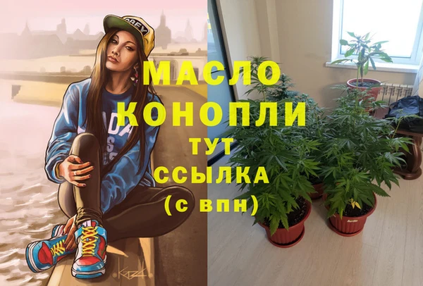 стафф Вязьма