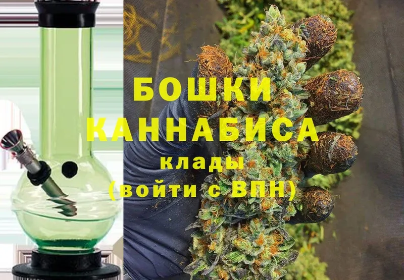 Бошки марихуана OG Kush  купить наркоту  Ивангород 